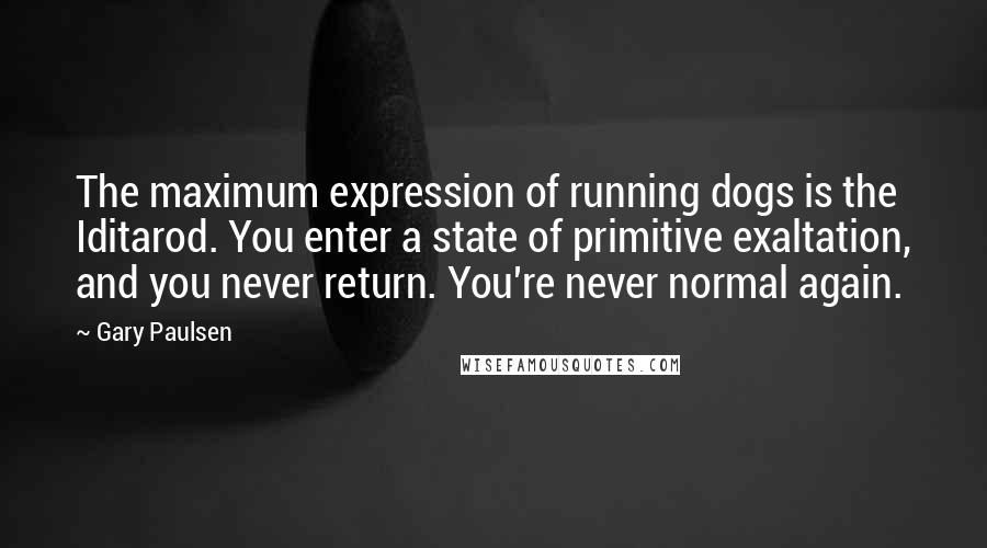 Gary Paulsen Quotes: The maximum expression of running dogs is the Iditarod. You enter a state of primitive exaltation, and you never return. You're never normal again.