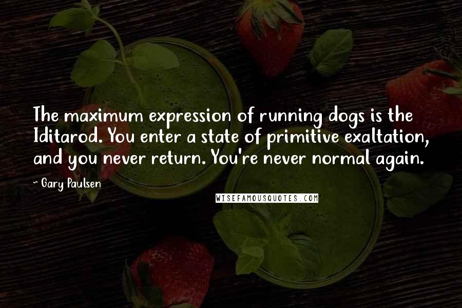 Gary Paulsen Quotes: The maximum expression of running dogs is the Iditarod. You enter a state of primitive exaltation, and you never return. You're never normal again.