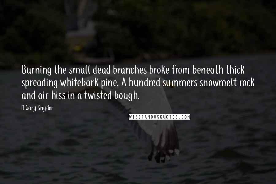 Gary Snyder Quotes: Burning the small dead branches broke from beneath thick spreading whitebark pine. A hundred summers snowmelt rock and air hiss in a twisted bough.