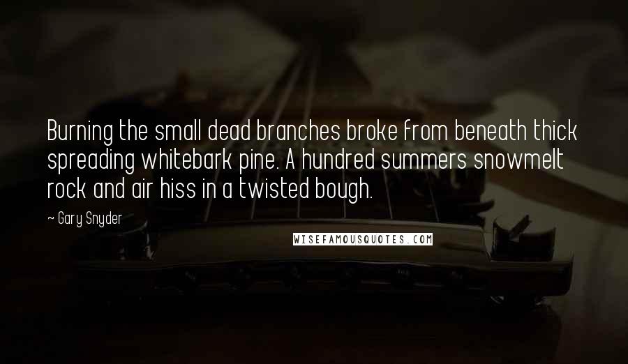 Gary Snyder Quotes: Burning the small dead branches broke from beneath thick spreading whitebark pine. A hundred summers snowmelt rock and air hiss in a twisted bough.