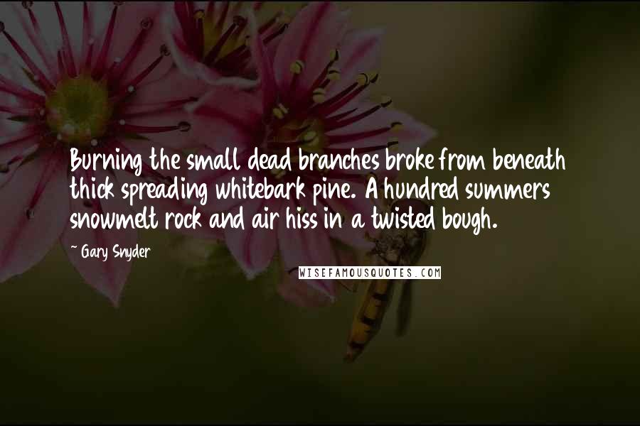 Gary Snyder Quotes: Burning the small dead branches broke from beneath thick spreading whitebark pine. A hundred summers snowmelt rock and air hiss in a twisted bough.