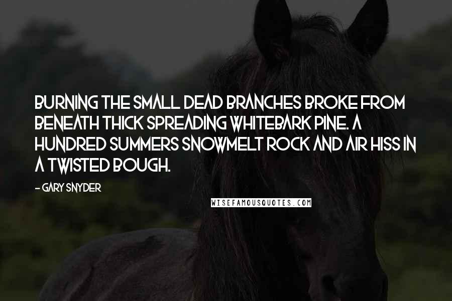 Gary Snyder Quotes: Burning the small dead branches broke from beneath thick spreading whitebark pine. A hundred summers snowmelt rock and air hiss in a twisted bough.