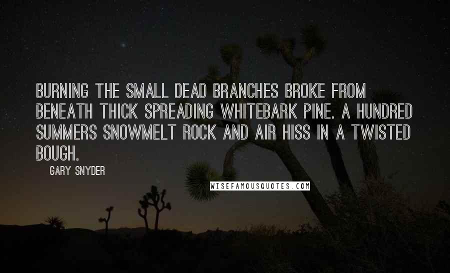 Gary Snyder Quotes: Burning the small dead branches broke from beneath thick spreading whitebark pine. A hundred summers snowmelt rock and air hiss in a twisted bough.