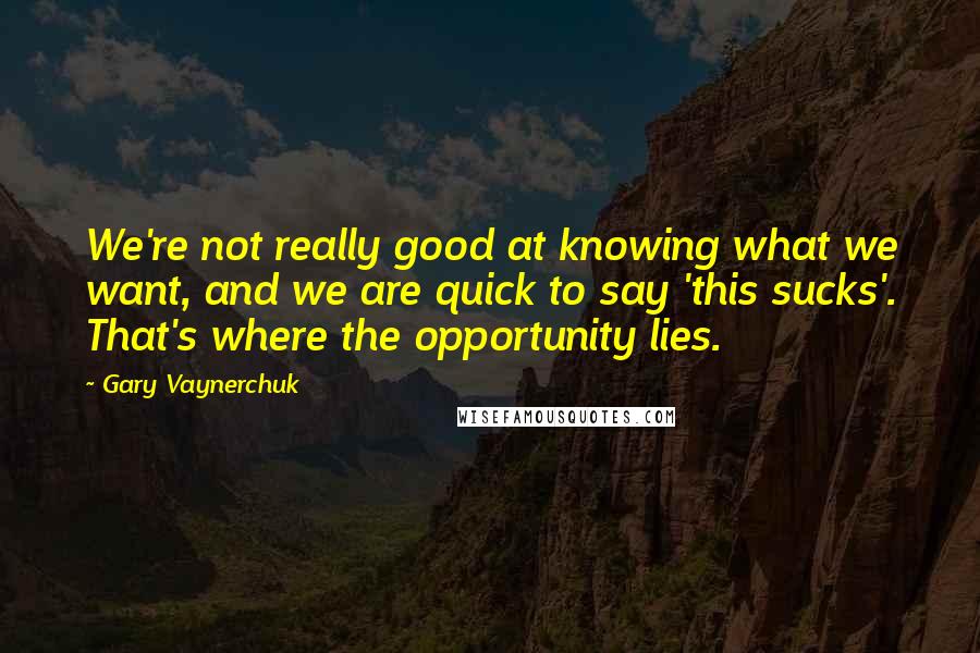 Gary Vaynerchuk Quotes: We're not really good at knowing what we want, and we are quick to say 'this sucks'. That's where the opportunity lies.