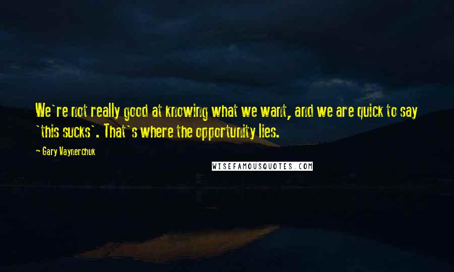 Gary Vaynerchuk Quotes: We're not really good at knowing what we want, and we are quick to say 'this sucks'. That's where the opportunity lies.