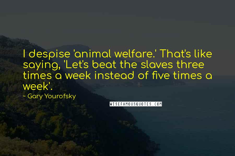 Gary Yourofsky Quotes: I despise 'animal welfare.' That's like saying, 'Let's beat the slaves three times a week instead of five times a week'.