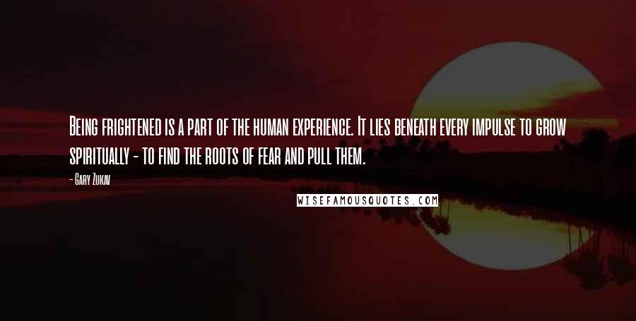 Gary Zukav Quotes: Being frightened is a part of the human experience. It lies beneath every impulse to grow spiritually - to find the roots of fear and pull them.