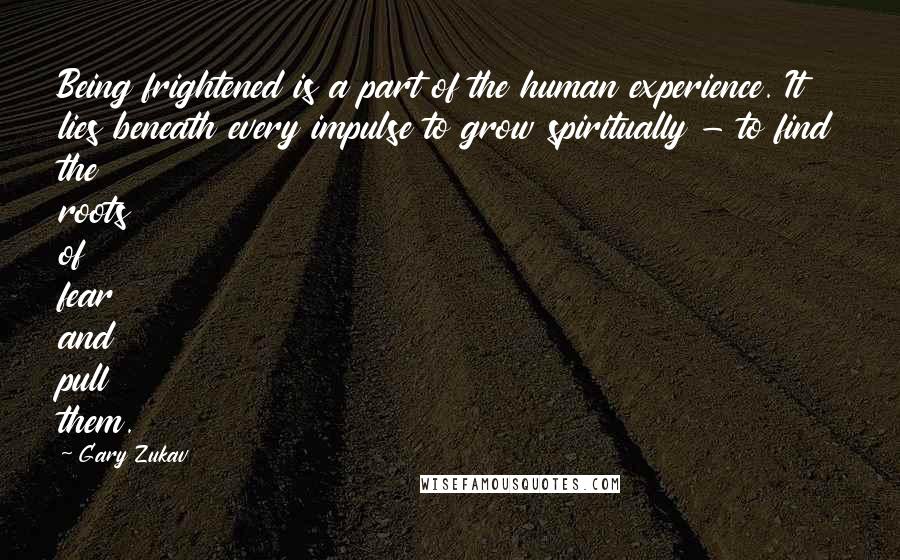 Gary Zukav Quotes: Being frightened is a part of the human experience. It lies beneath every impulse to grow spiritually - to find the roots of fear and pull them.