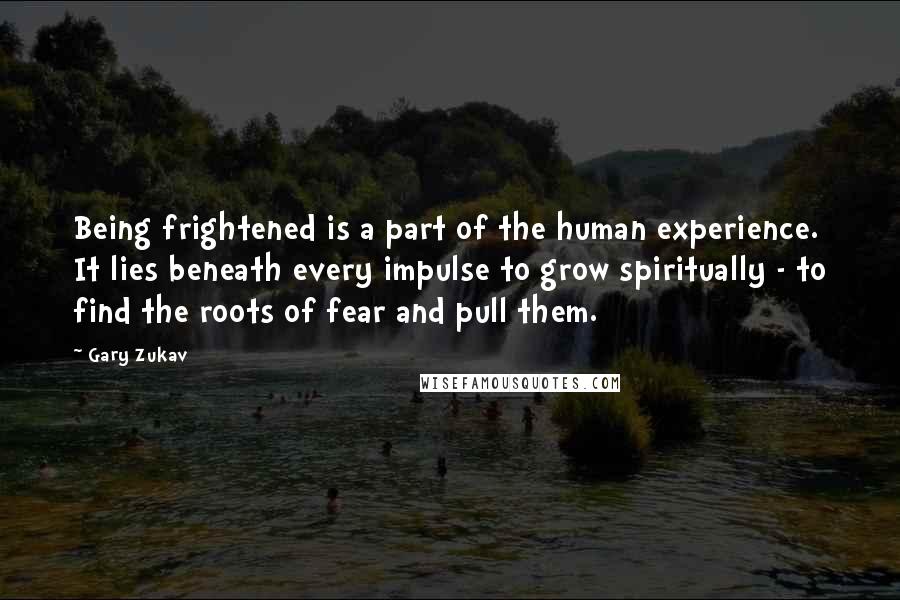 Gary Zukav Quotes: Being frightened is a part of the human experience. It lies beneath every impulse to grow spiritually - to find the roots of fear and pull them.