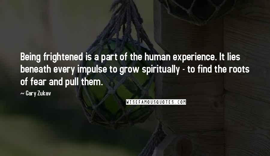 Gary Zukav Quotes: Being frightened is a part of the human experience. It lies beneath every impulse to grow spiritually - to find the roots of fear and pull them.