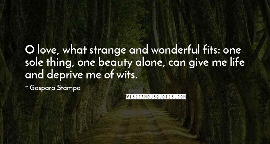 Gaspara Stampa Quotes: O love, what strange and wonderful fits: one sole thing, one beauty alone, can give me life and deprive me of wits.