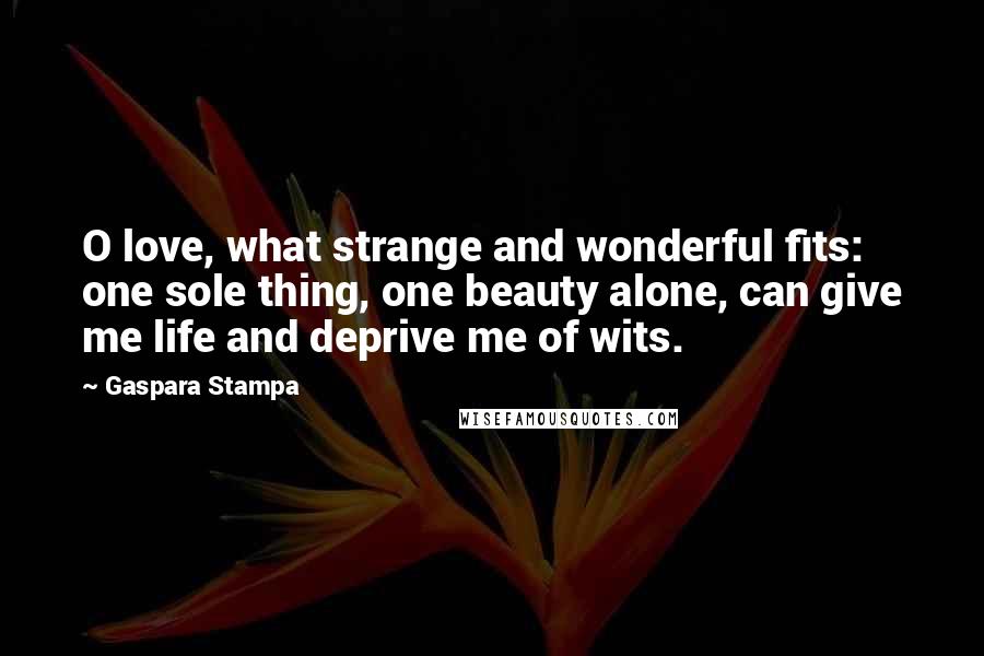 Gaspara Stampa Quotes: O love, what strange and wonderful fits: one sole thing, one beauty alone, can give me life and deprive me of wits.