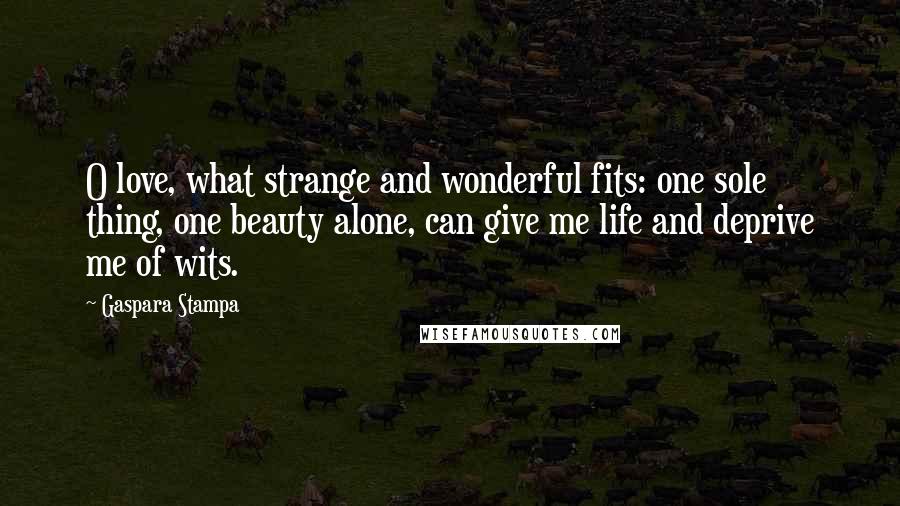 Gaspara Stampa Quotes: O love, what strange and wonderful fits: one sole thing, one beauty alone, can give me life and deprive me of wits.