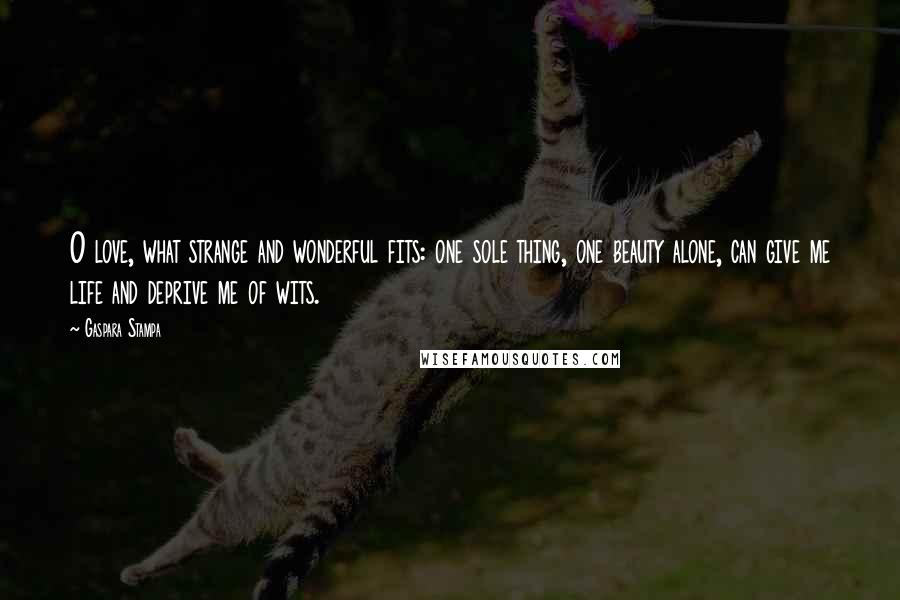 Gaspara Stampa Quotes: O love, what strange and wonderful fits: one sole thing, one beauty alone, can give me life and deprive me of wits.