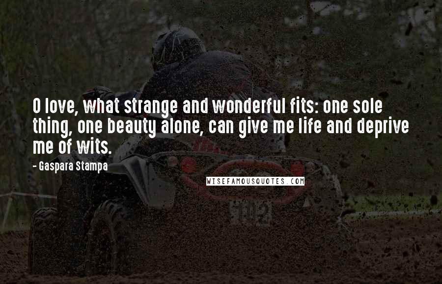 Gaspara Stampa Quotes: O love, what strange and wonderful fits: one sole thing, one beauty alone, can give me life and deprive me of wits.