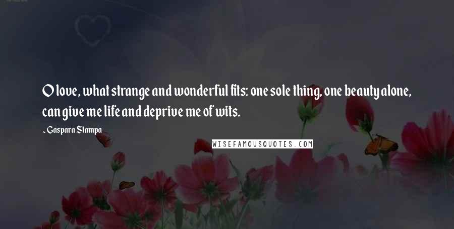 Gaspara Stampa Quotes: O love, what strange and wonderful fits: one sole thing, one beauty alone, can give me life and deprive me of wits.