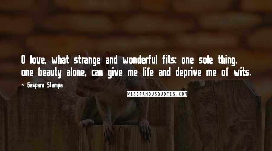 Gaspara Stampa Quotes: O love, what strange and wonderful fits: one sole thing, one beauty alone, can give me life and deprive me of wits.