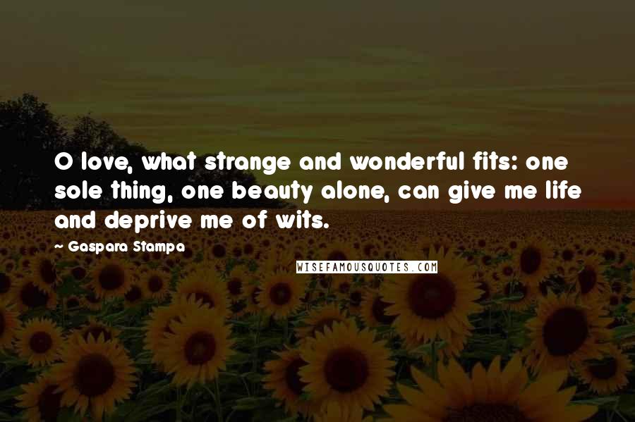 Gaspara Stampa Quotes: O love, what strange and wonderful fits: one sole thing, one beauty alone, can give me life and deprive me of wits.