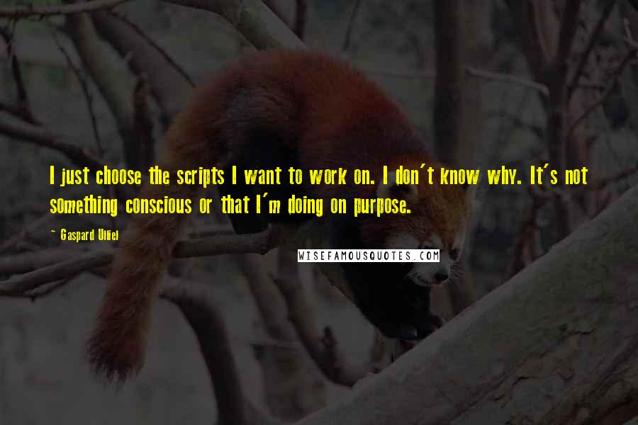 Gaspard Ulliel Quotes: I just choose the scripts I want to work on. I don't know why. It's not something conscious or that I'm doing on purpose.
