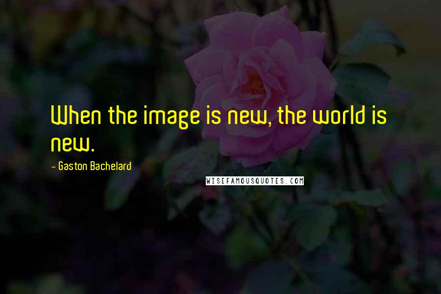 Gaston Bachelard Quotes: When the image is new, the world is new.