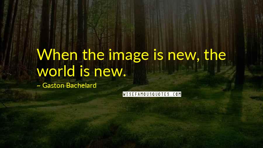 Gaston Bachelard Quotes: When the image is new, the world is new.