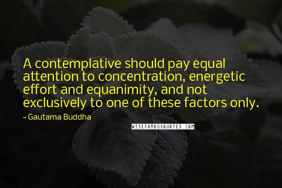 Gautama Buddha Quotes: A contemplative should pay equal attention to concentration, energetic effort and equanimity, and not exclusively to one of these factors only.