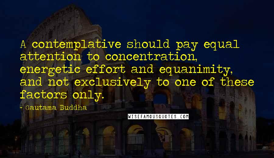 Gautama Buddha Quotes: A contemplative should pay equal attention to concentration, energetic effort and equanimity, and not exclusively to one of these factors only.