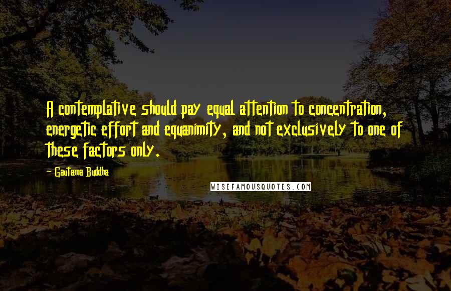 Gautama Buddha Quotes: A contemplative should pay equal attention to concentration, energetic effort and equanimity, and not exclusively to one of these factors only.