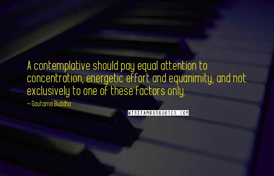 Gautama Buddha Quotes: A contemplative should pay equal attention to concentration, energetic effort and equanimity, and not exclusively to one of these factors only.