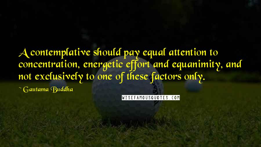 Gautama Buddha Quotes: A contemplative should pay equal attention to concentration, energetic effort and equanimity, and not exclusively to one of these factors only.