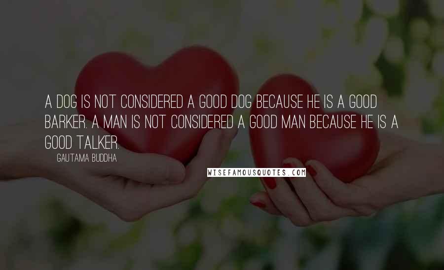 Gautama Buddha Quotes: A dog is not considered a good dog because he is a good barker. a man is not considered a good man because he is a good talker.