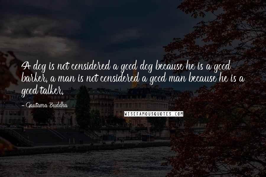 Gautama Buddha Quotes: A dog is not considered a good dog because he is a good barker. a man is not considered a good man because he is a good talker.