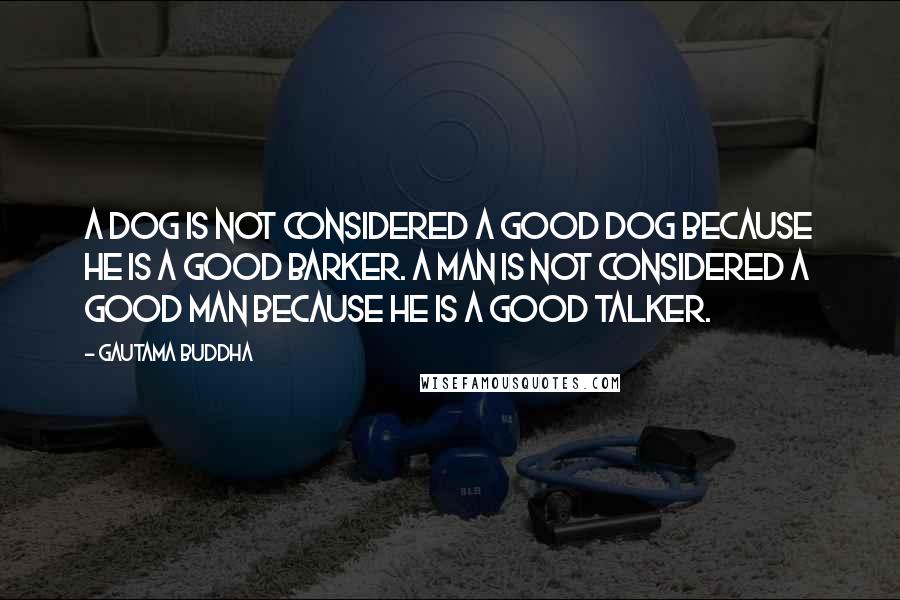 Gautama Buddha Quotes: A dog is not considered a good dog because he is a good barker. a man is not considered a good man because he is a good talker.