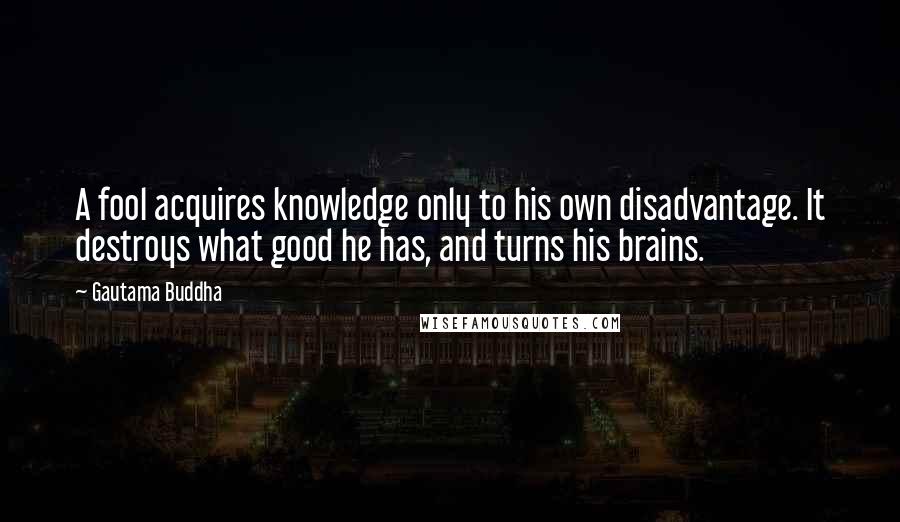 Gautama Buddha Quotes: A fool acquires knowledge only to his own disadvantage. It destroys what good he has, and turns his brains.