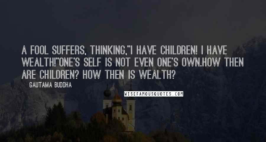 Gautama Buddha Quotes: A fool suffers, thinking,"I have children! I have wealth!"One's self is not even one's own.How then are children? How then is wealth?