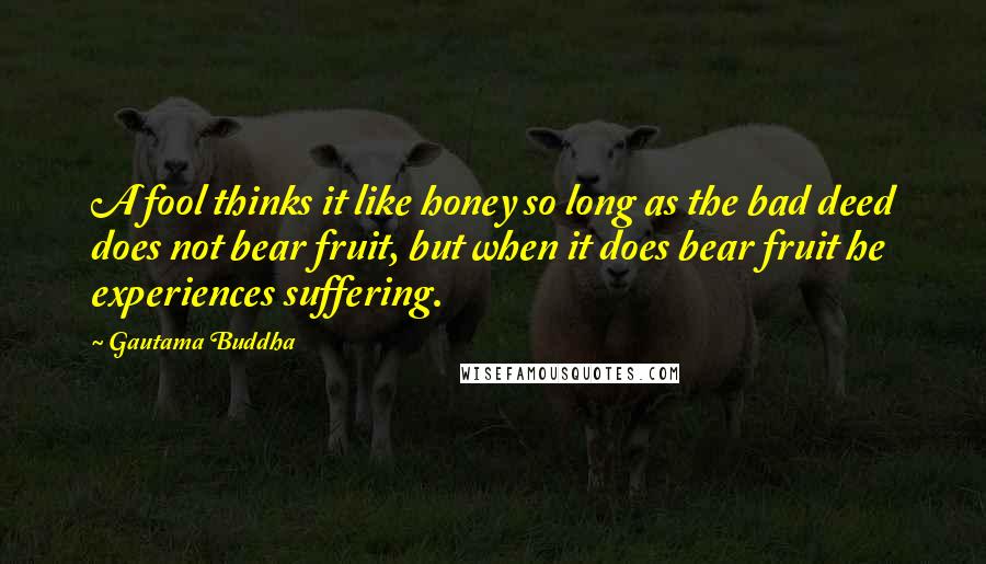 Gautama Buddha Quotes: A fool thinks it like honey so long as the bad deed does not bear fruit, but when it does bear fruit he experiences suffering.