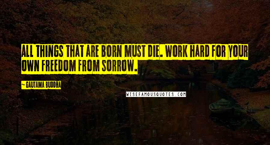 Gautama Buddha Quotes: All things that are born must die. Work hard for your own freedom from sorrow.