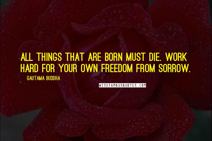 Gautama Buddha Quotes: All things that are born must die. Work hard for your own freedom from sorrow.