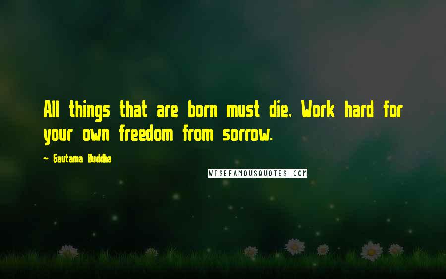 Gautama Buddha Quotes: All things that are born must die. Work hard for your own freedom from sorrow.