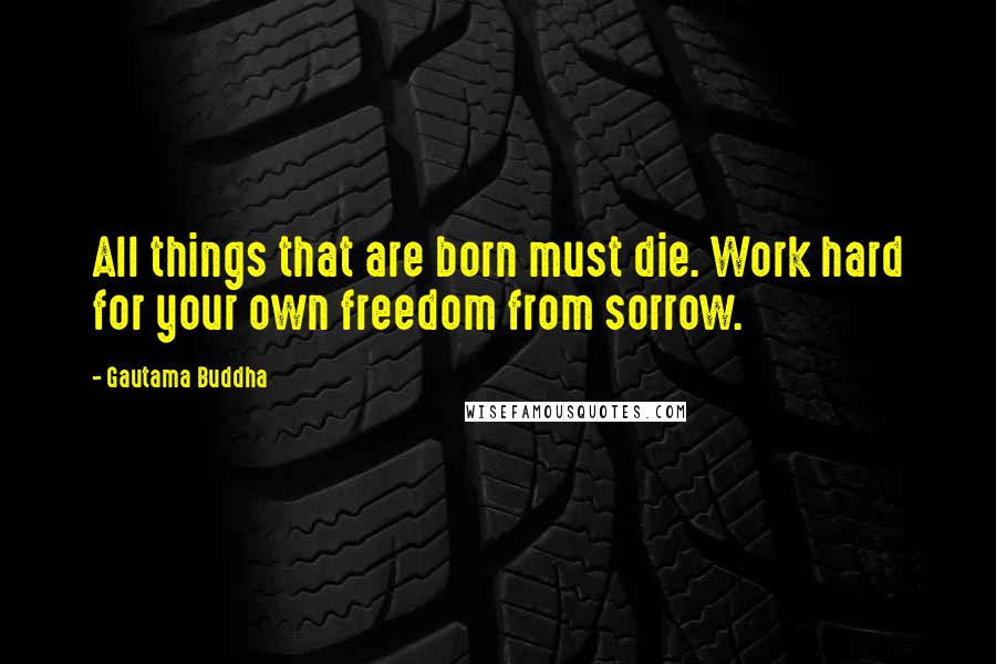 Gautama Buddha Quotes: All things that are born must die. Work hard for your own freedom from sorrow.