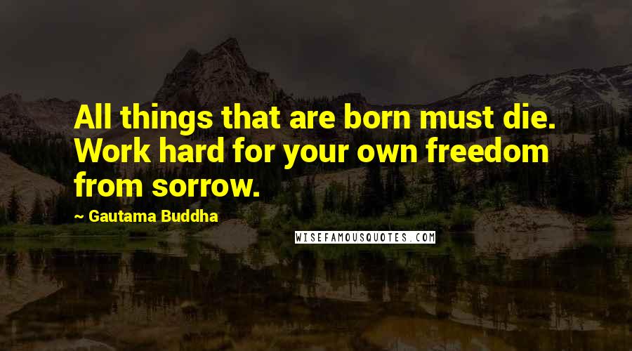 Gautama Buddha Quotes: All things that are born must die. Work hard for your own freedom from sorrow.