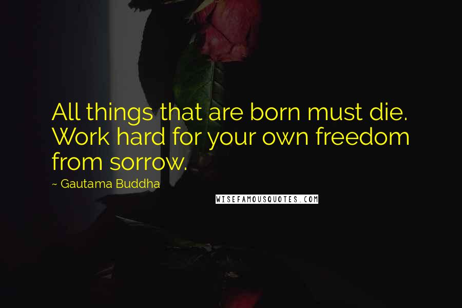 Gautama Buddha Quotes: All things that are born must die. Work hard for your own freedom from sorrow.