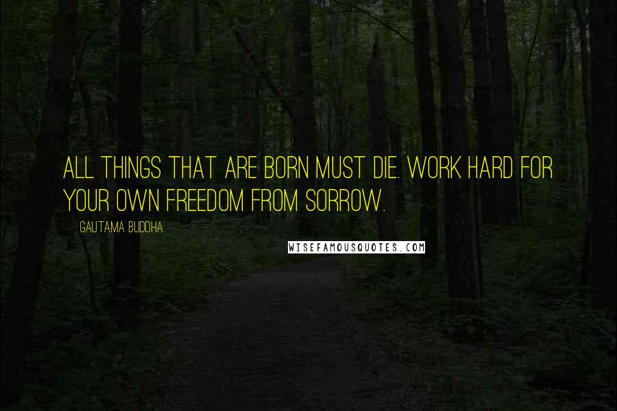 Gautama Buddha Quotes: All things that are born must die. Work hard for your own freedom from sorrow.