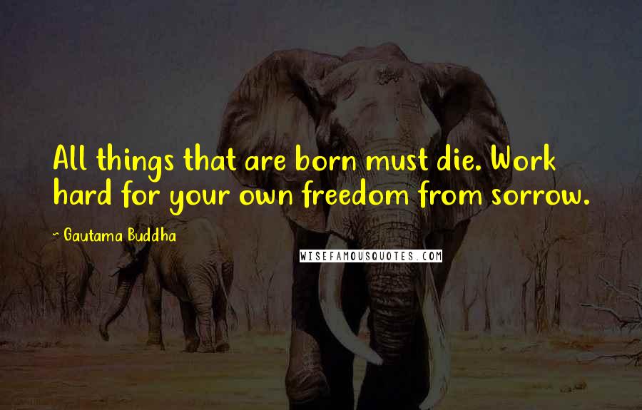 Gautama Buddha Quotes: All things that are born must die. Work hard for your own freedom from sorrow.