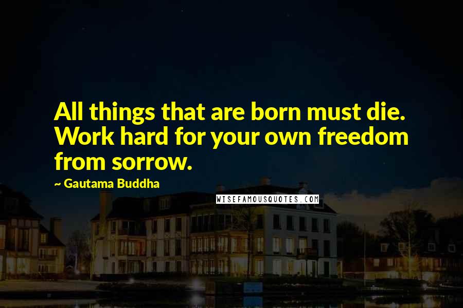 Gautama Buddha Quotes: All things that are born must die. Work hard for your own freedom from sorrow.