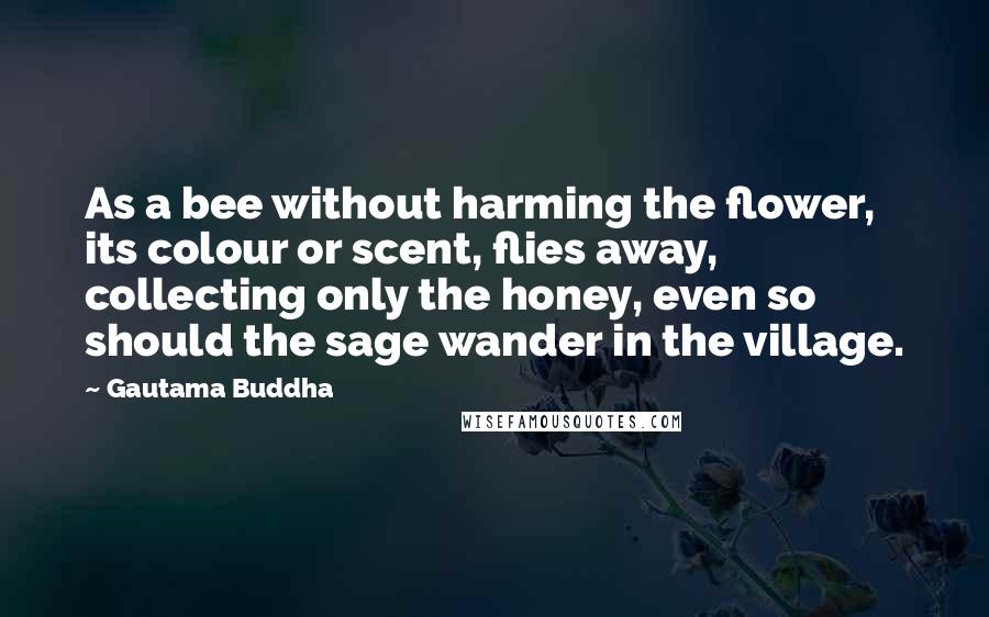 Gautama Buddha Quotes: As a bee without harming the flower, its colour or scent, flies away, collecting only the honey, even so should the sage wander in the village.