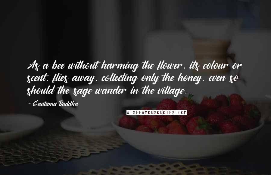 Gautama Buddha Quotes: As a bee without harming the flower, its colour or scent, flies away, collecting only the honey, even so should the sage wander in the village.