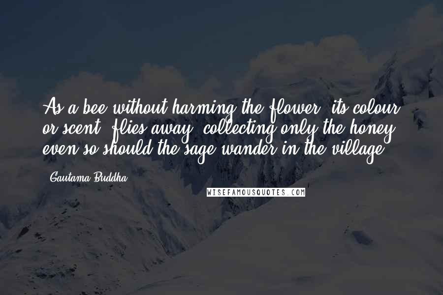 Gautama Buddha Quotes: As a bee without harming the flower, its colour or scent, flies away, collecting only the honey, even so should the sage wander in the village.