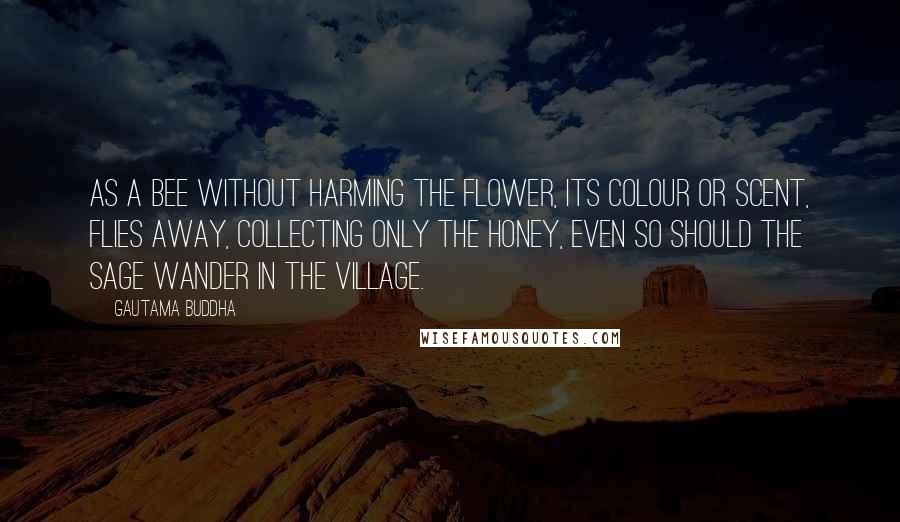 Gautama Buddha Quotes: As a bee without harming the flower, its colour or scent, flies away, collecting only the honey, even so should the sage wander in the village.