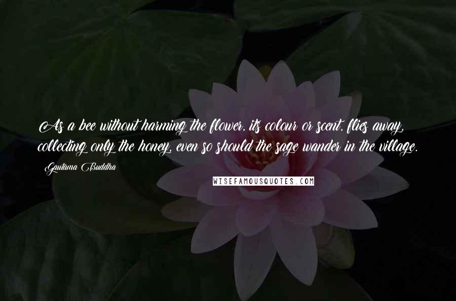 Gautama Buddha Quotes: As a bee without harming the flower, its colour or scent, flies away, collecting only the honey, even so should the sage wander in the village.